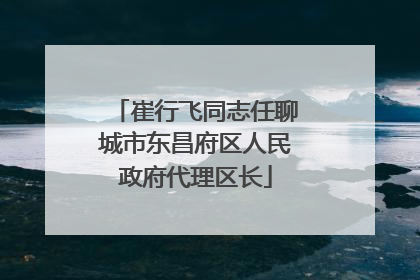 崔行飞同志任聊城市东昌府区人民政府代理区长