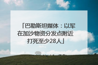 巴勒斯坦媒体：以军在加沙物资分发点附近打死至少28人
