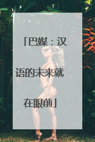 巴媒：汉语的未来就在眼前