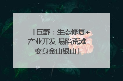 巨野：生态修复+产业开发 塌陷荒滩变身金山银山