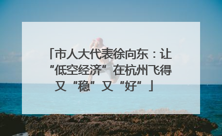 市人大代表徐向东：让“低空经济”在杭州飞得又“稳”又“好”
