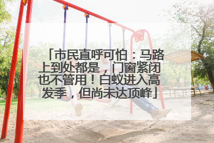 市民直呼可怕：马路上到处都是，门窗紧闭也不管用！白蚁进入高发季，但尚未达顶峰