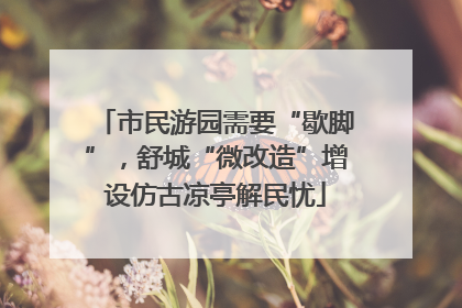 市民游园需要“歇脚”，舒城“微改造”增设仿古凉亭解民忧