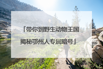 带你到野生动物王国揭秘鄂州人专属暗号