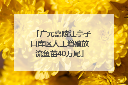 广元嘉陵江亭子口库区人工增殖放流鱼苗40万尾