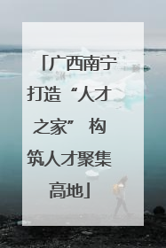 广西南宁打造“人才之家” 构筑人才聚集高地