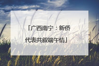 广西南宁：新侨代表共叙端午情