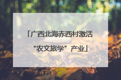 广西北海赤西村激活“农文旅学”产业