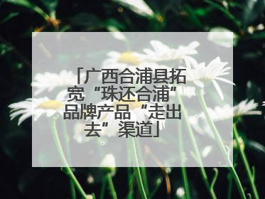 广西合浦县拓宽“珠还合浦”品牌产品“走出去”渠道