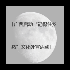广西启动“记得住乡愁”文化外宣活动
