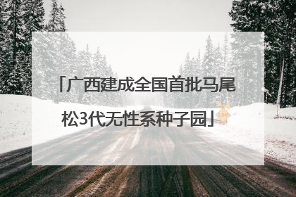 广西建成全国首批马尾松3代无性系种子园