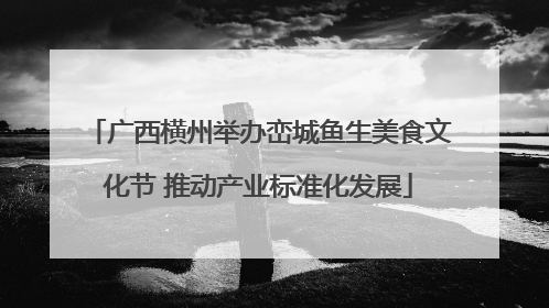 广西横州举办峦城鱼生美食文化节 推动产业标准化发展