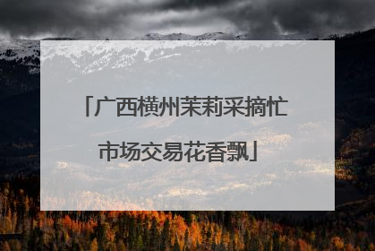 广西横州茉莉采摘忙 市场交易花香飘