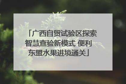 广西自贸试验区探索智慧查验新模式 便利东盟水果进境通关