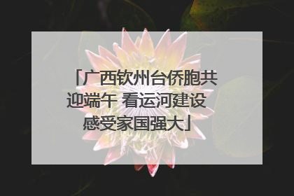 广西钦州台侨胞共迎端午 看运河建设感受家国强大