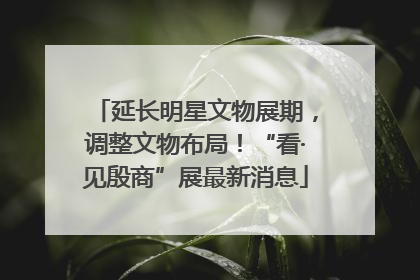 延长明星文物展期，调整文物布局！“看·见殷商”展最新消息
