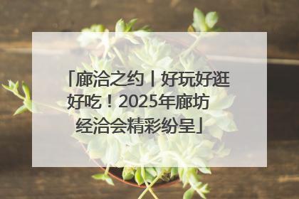 廊洽之约丨好玩好逛好吃！2025年廊坊经洽会精彩纷呈