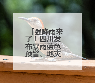 强降雨来了！四川发布暴雨蓝色预警、地灾黄色预警