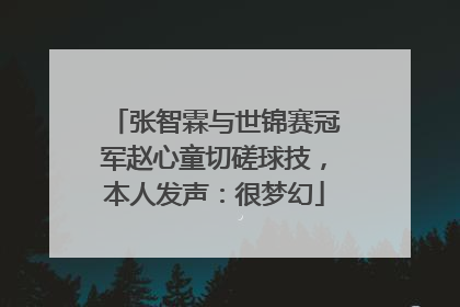 张智霖与世锦赛冠军赵心童切磋球技，本人发声：很梦幻
