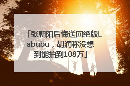 张朝阳后悔送回绝版Labubu，胡润称没想到能拍到108万