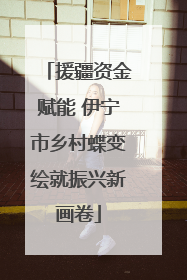 援疆资金赋能 伊宁市乡村蝶变绘就振兴新画卷