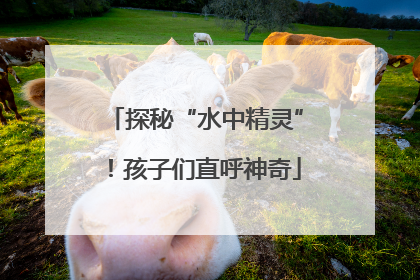 探秘“水中精灵”！孩子们直呼神奇