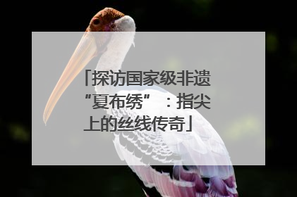 探访国家级非遗“夏布绣”：指尖上的丝线传奇