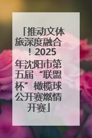 推动文体旅深度融合！2025年沈阳市第五届“联盟杯”橄榄球公开赛燃情开赛
