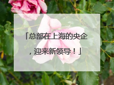 总部在上海的央企，迎来新领导！