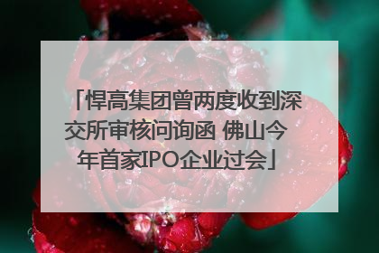悍高集团曾两度收到深交所审核问询函 佛山今年首家IPO企业过会
