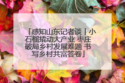 感知山东记者谈丨小石榴撬动大产业 枣庄破局乡村发展难题 书写乡村共富答卷