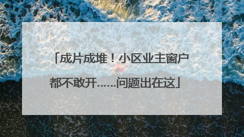 成片成堆！小区业主窗户都不敢开……问题出在这