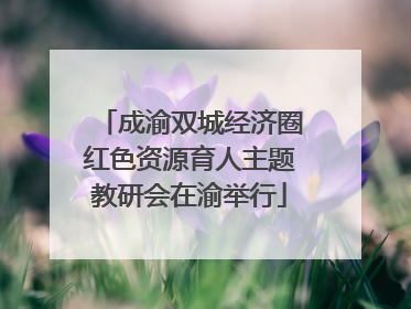 成渝双城经济圈红色资源育人主题教研会在渝举行