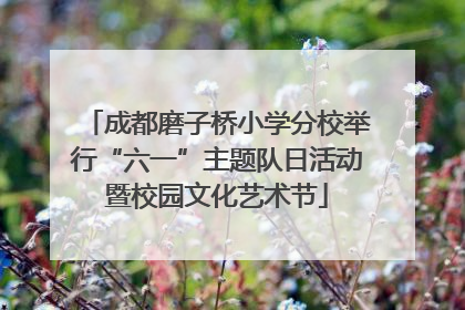 成都磨子桥小学分校举行“六一”主题队日活动暨校园文化艺术节