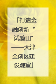 打造金融创新“试验田”——天津金创区建设观察