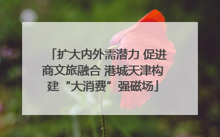 扩大内外需潜力 促进商文旅融合 港城天津构建“大消费”强磁场