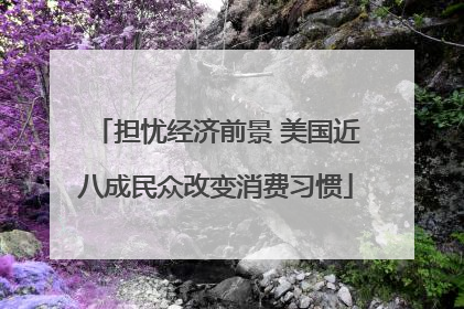 担忧经济前景 美国近八成民众改变消费习惯