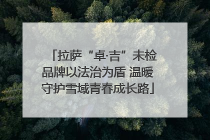 拉萨“卓·吉”未检品牌以法治为盾 温暖守护雪域青春成长路