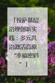 拉萨基层治理创新实践：多元共治激活高原“幸福密码”