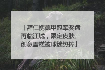 拜仁携德甲冠军奖盘再临江城，限定皮肤、创意雪糕被球迷热捧
