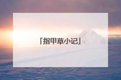 指甲草小记