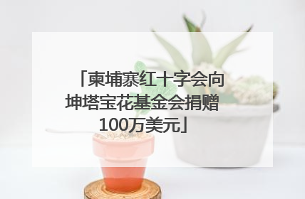 柬埔寨红十字会向坤塔宝花基金会捐赠100万美元