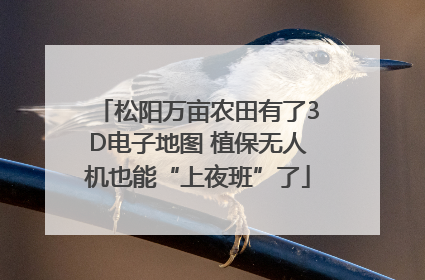 松阳万亩农田有了3D电子地图 植保无人机也能“上夜班”了