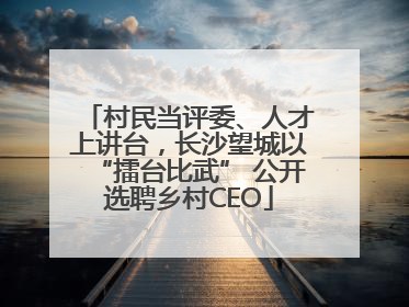 村民当评委、人才上讲台，长沙望城以“擂台比武” 公开选聘乡村CEO