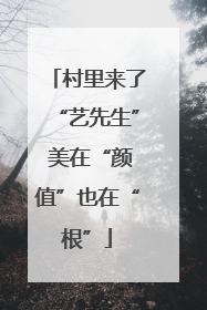 村里来了“艺先生” 美在“颜值”也在“根”
