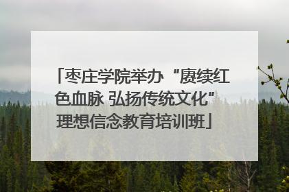 枣庄学院举办“赓续红色血脉 弘扬传统文化”理想信念教育培训班
