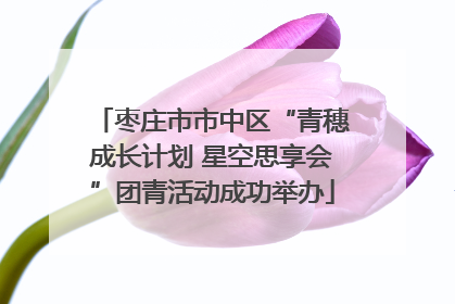 枣庄市市中区“青穗成长计划 星空思享会”团青活动成功举办