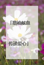撸袖献血 传递爱心