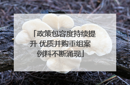 政策包容度持续提升 优质并购重组案例料不断涌现