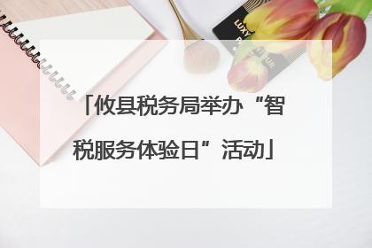 攸县税务局举办“智税服务体验日”活动